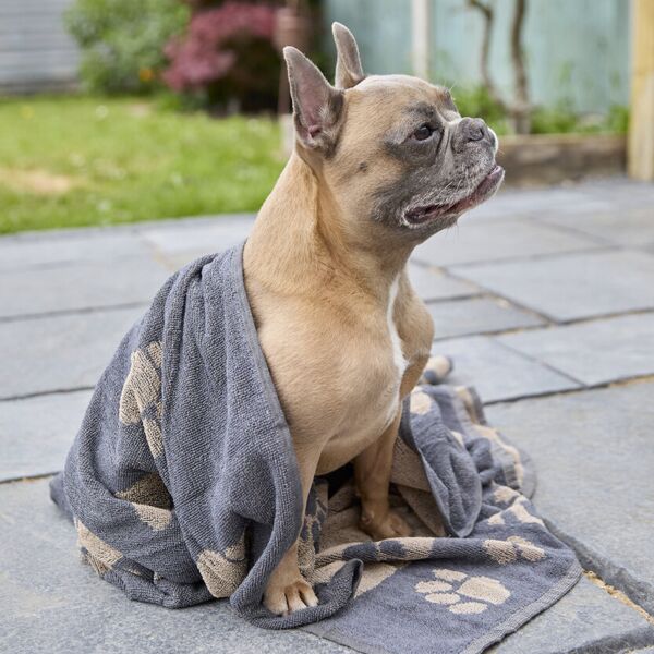 Jumbo terry jacquard dog towel Thumbnail