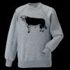 Kids raglan sleeve sweatshirt Thumbnail