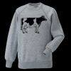 Kids raglan sleeve sweatshirt Thumbnail