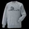 Kids raglan sleeve sweatshirt Thumbnail