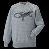 Kids raglan sleeve sweatshirt Thumbnail