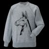 Kids raglan sleeve sweatshirt Thumbnail